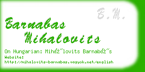 barnabas mihalovits business card